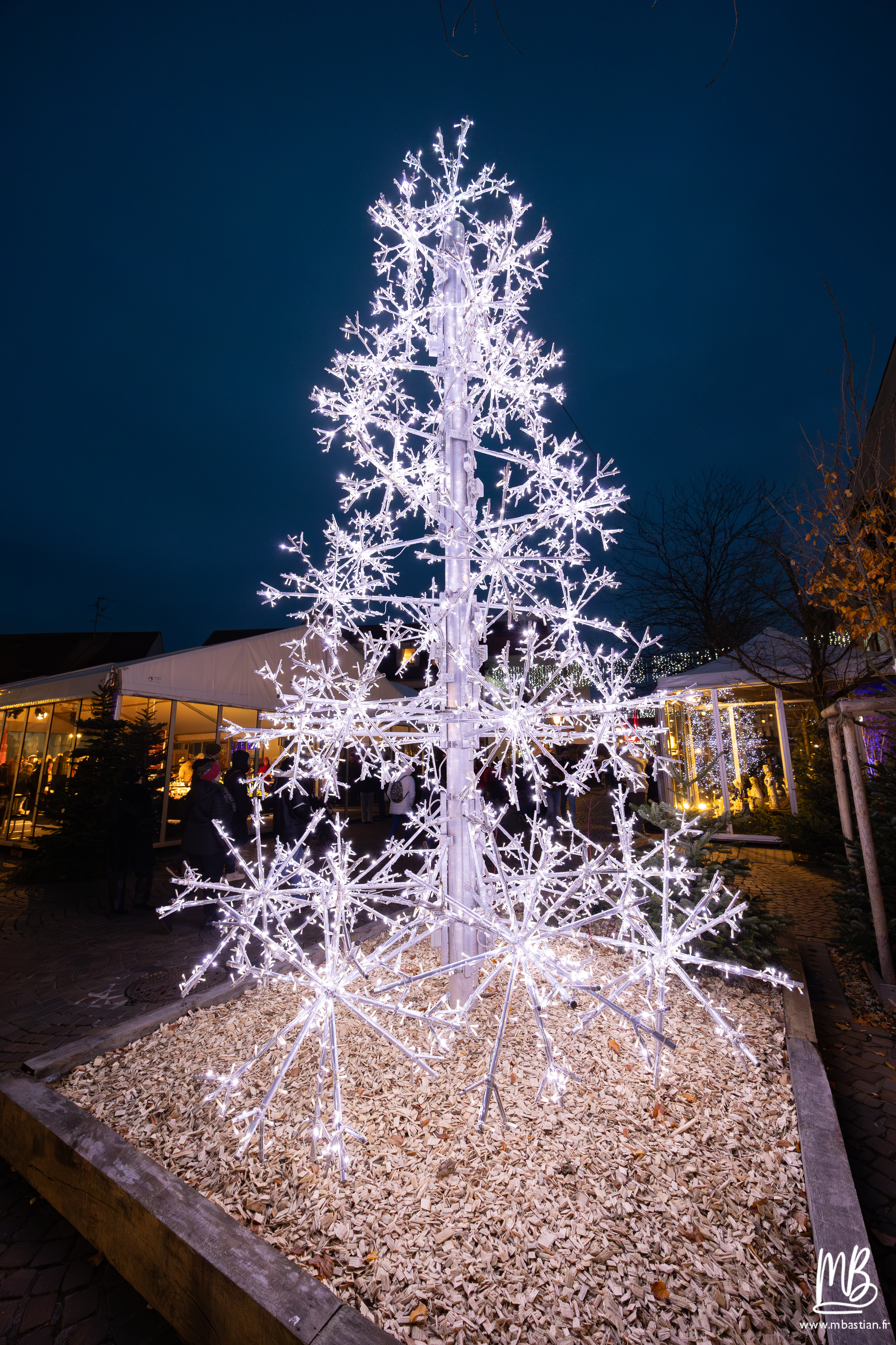 20251121 Noël à Haguenau MB 81